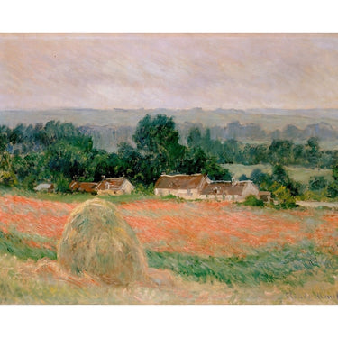 Poppies in a Field Canvas